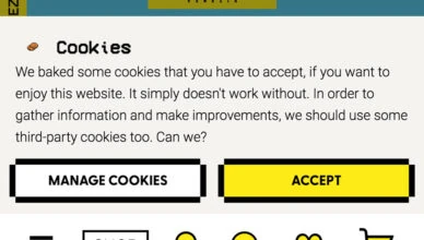 cookies pranesimas