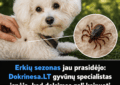 erkiu sezonas isibegeja dokrinesa lt gyvunu specialistas perspeja kad delsimas gali brangiai kainuoti