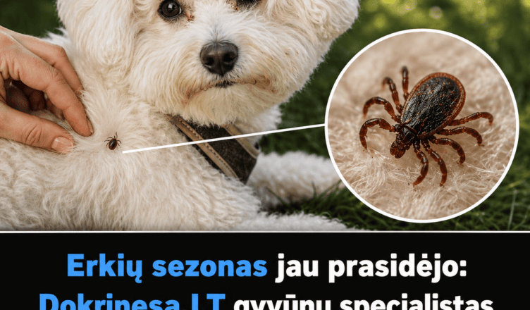 erkiu sezonas prasidejo