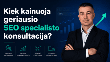seo konsultacijos kaina lietuvoje