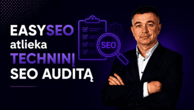easyseo agentura atlieka technini seo audita ir nuolatini seo palaikyma