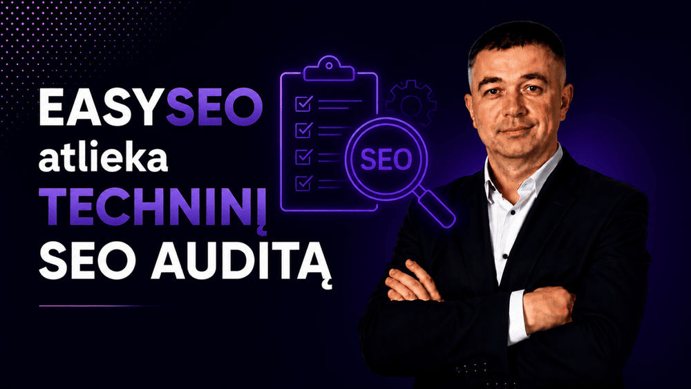 easyseo agentura atlieka technini seo audita ir nuolatini seo palaikyma